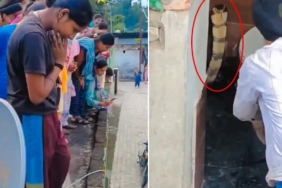 Hindistan'da Bir Evin Tuvaletinde Ortaya Çıkan Dev Kobra Mahallede Korku Yarattı
